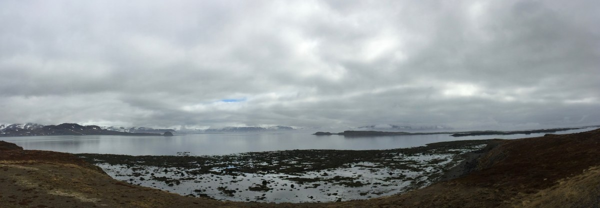 And we live in a beautiful&nbsp;world…